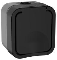 купить TORS Розетка 1-я с з/к кр. 16А IP55 TS120 графит IEK в Тольятти TORS Розетка 1-я с з/к кр. 16А IP55 TS120 графит IEK