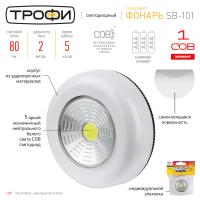 купить Фонарь пушлайт 1СВД 1Вт 80лм 3*ААА Трофи  в Тольятти Фонарь пушлайт 1СВД 1Вт 80лм 3*ААА Трофи