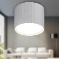 купить Светильник даунлайт 1*12Вт GX53 цилиндр белый накладной ЭРА  в Тольятти Светильник даунлайт 1*12Вт GX53 цилиндр белый накладной ЭРА