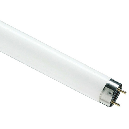 купить Лампа люм G13 Т8 58Вт 6500К 5000лм Osram  в Тольятти Лампа люм G13 Т8 58Вт 6500К 5000лм Osram