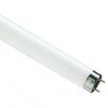 купить Лампа люм G13 Т8 30Вт 6500К 1900лм Osram  в Тольятти Лампа люм G13 Т8 30Вт 6500К 1900лм Osram