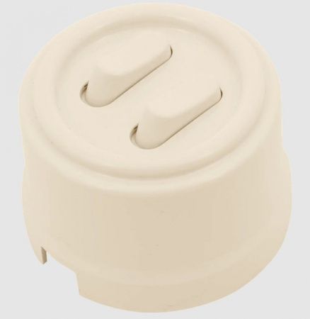 Бирони ваниль выключатель 2кл открытая 10А IP20  клавишный  Jantera