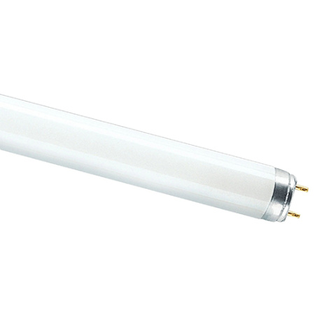 купить Лампа люм G13 Т8 36Вт 4000К 2850лм Osram  в Тольятти Лампа люм G13 Т8 36Вт 4000К 2850лм Osram