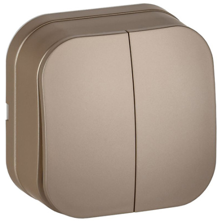 Глори шампань выключатель 2кл открытая 10А IP20  